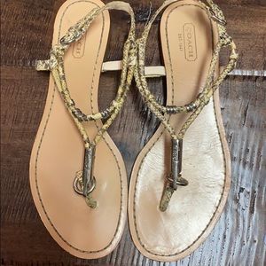 Coach snakeskin sandals